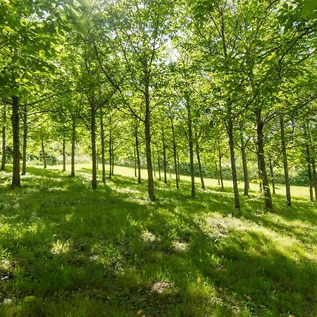 Podere La Casaccia ファームステイ