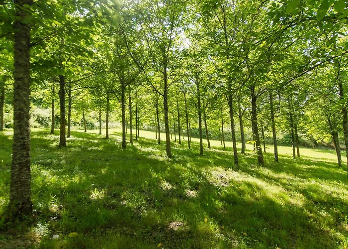 Podere La Casaccia ファームステイ